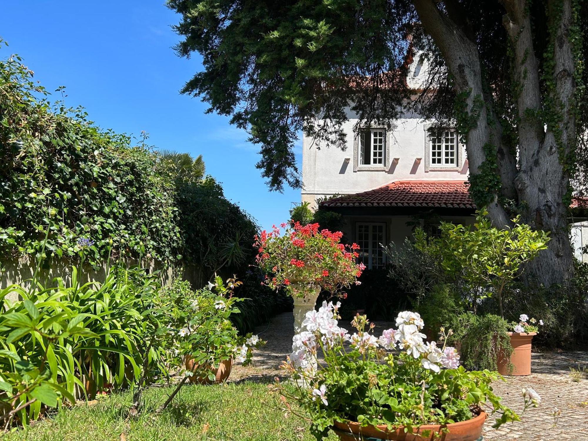 Villa Branca Jacinta Sintra Exterior photo
